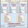 Imparfait de l'indicatif. Formation. Emploi/Futur simple. Formation reguliere. Formation irreguliere